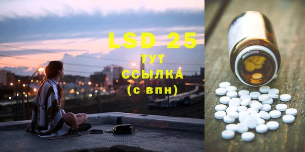 PSILOCYBIN Вуктыл