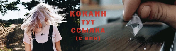 MESCALINE Гатчина