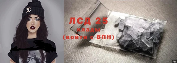 спайс Гвардейск