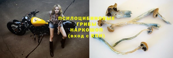 спайс Гвардейск