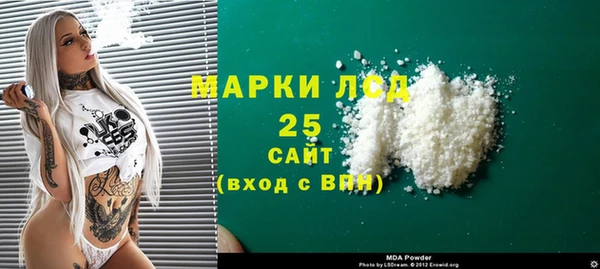 спайс Гвардейск