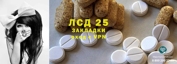PSILOCYBIN Вуктыл