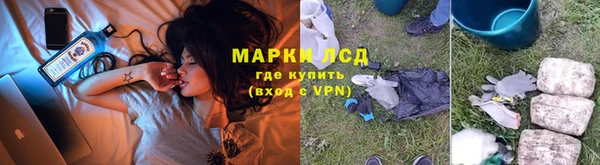 PSILOCYBIN Вуктыл